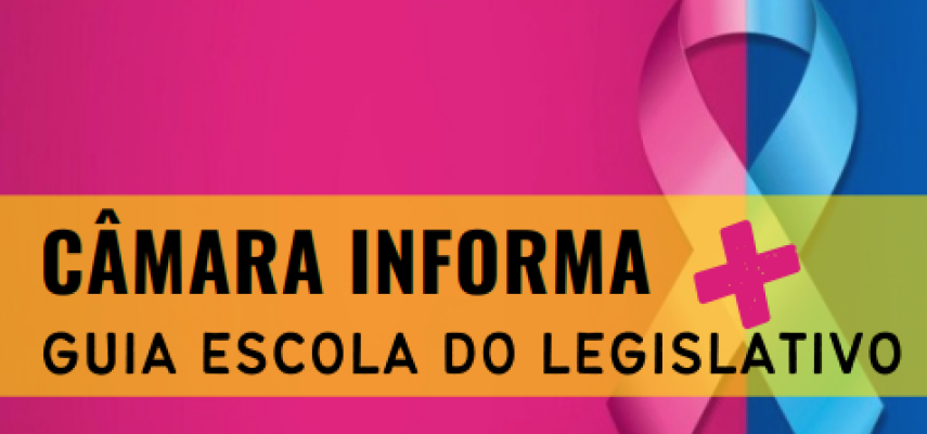 Boletim Câmara Informa ganha edição especial