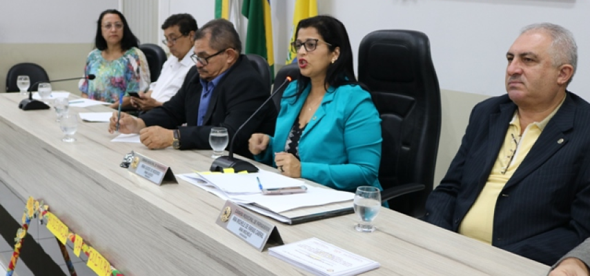 Câmara debate estruturação do sistema municipal de cultura