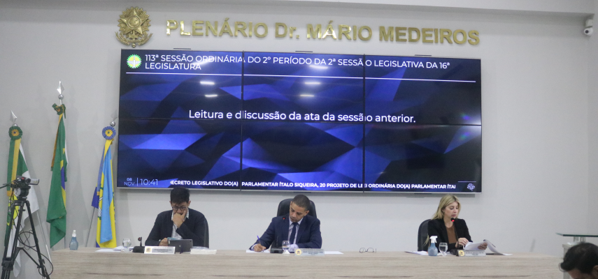 113ª Sessão Ordinária aprova 4 projetos de lei