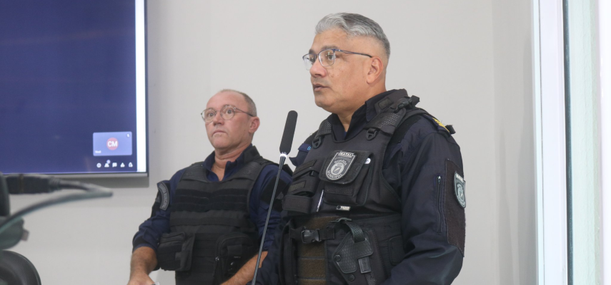 Audiência Pública: Guarda municipal e segurança na saúde 