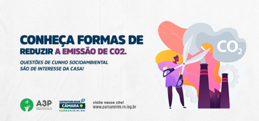 #A3P: conheça formas de reduzir a emissão de C02