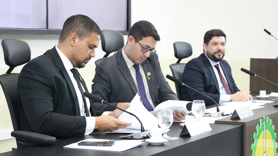 Comissão de Cultura e Desporto realiza 5ª reunião de 2025 com aprovação de projetos e diálogo com a SEL