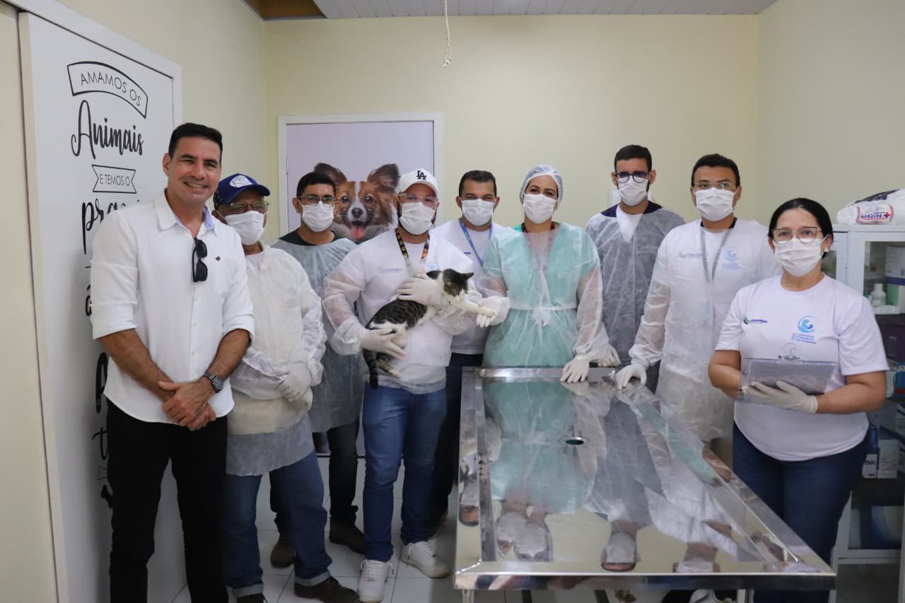 Parnamirim se torna o primeiro município do RN a oferecer tratamento gratuito para esporotricose em gatos