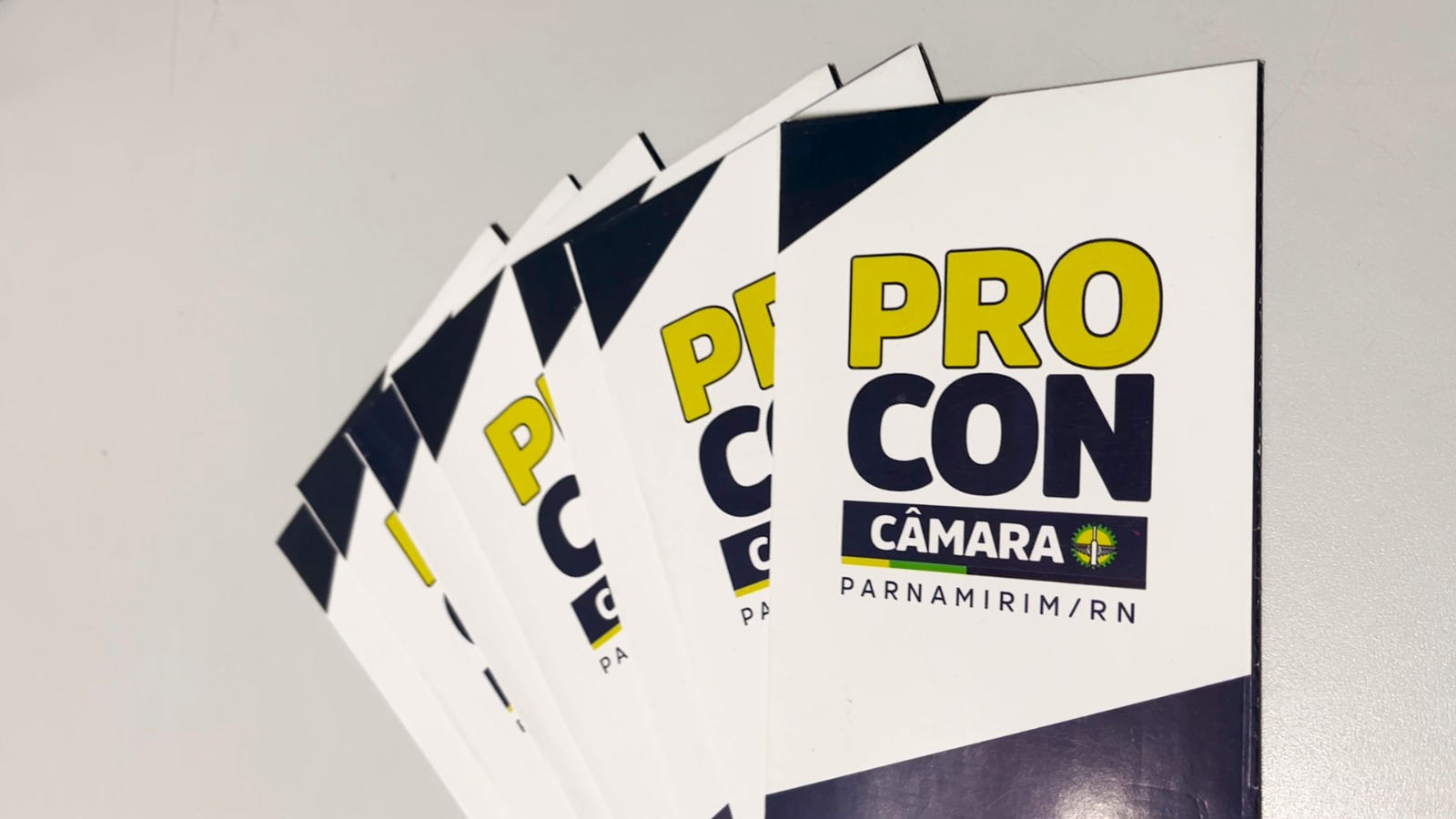 PROCON estadual visita Câmara Municipal dos Vereadores