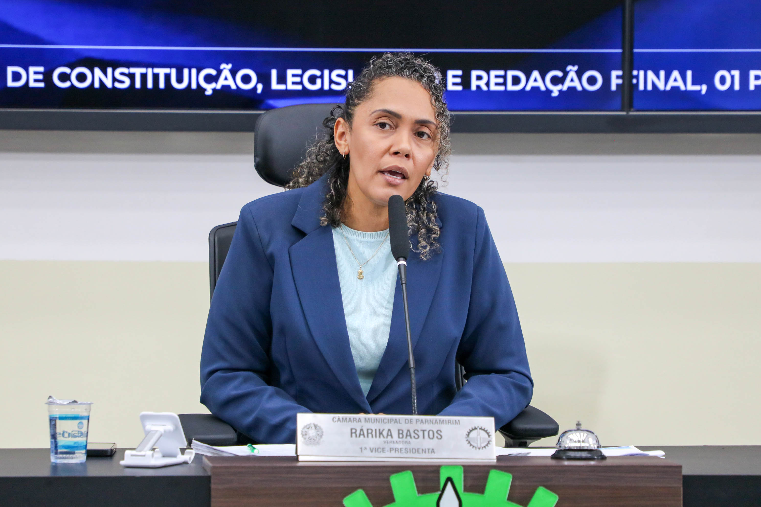 Audiência Pública debate situação de animais de grande porte em Parnamirim