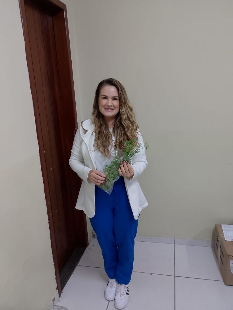 Distribuição de Hortaliças - Foto 2