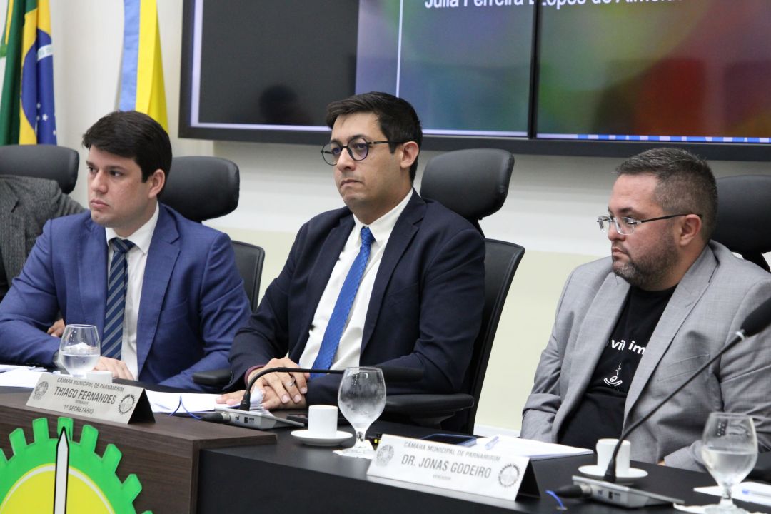 Audiência Pública: Maternidade Divino Amor - Foto 13