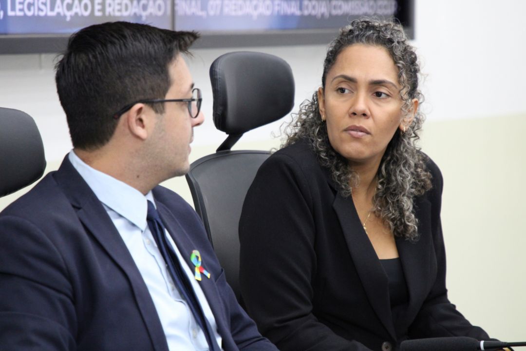 15/04/2025 - 29ª e 30ª sessão ordinária - Foto 1