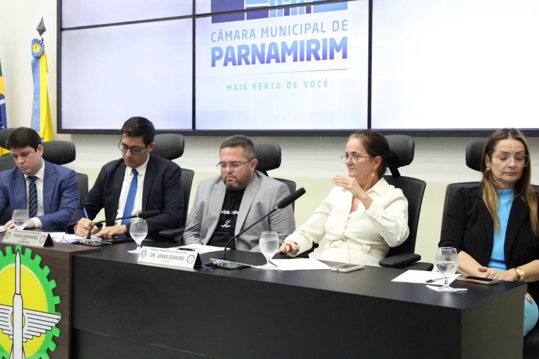 31/03/2025 - Audiência pública - Maternidade Divino Amor - Foto 8