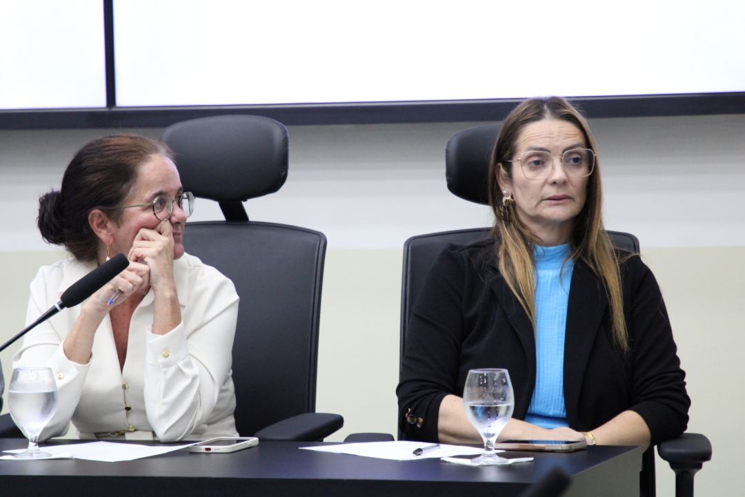 31/03/2025 - Audiência pública - Maternidade Divino Amor - Foto 9