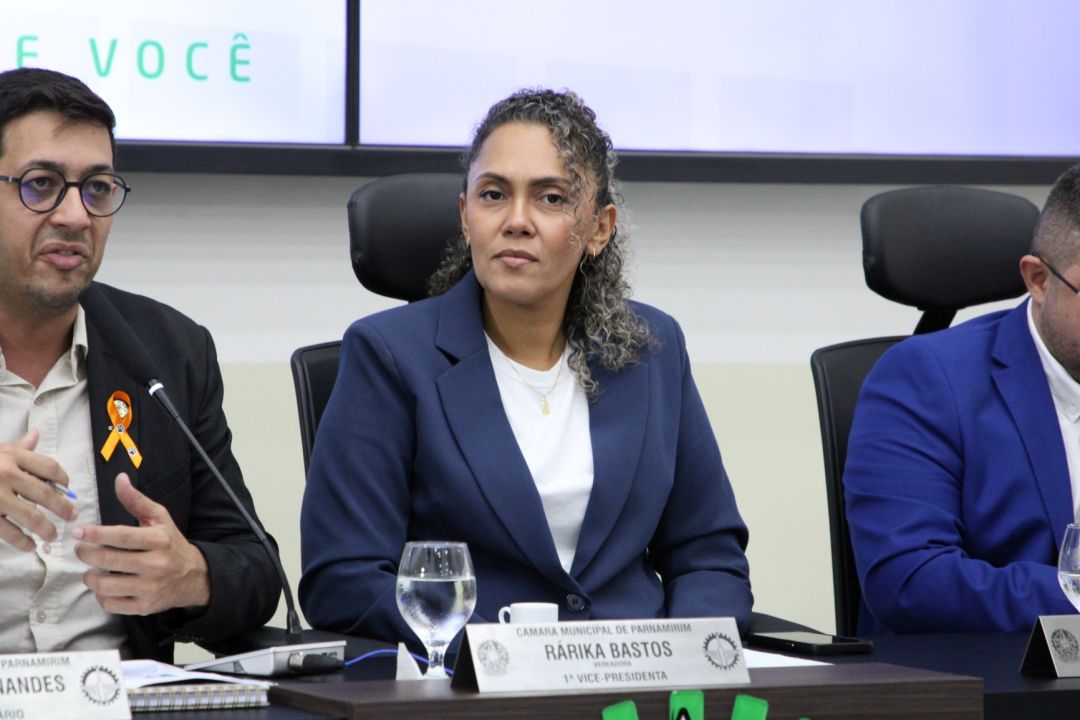 11/04/2025 - Audiência pública - Campanha da Fraternidade 2025 - Foto 11