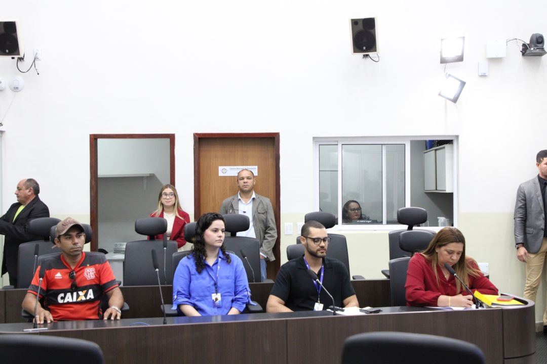 28/04/2025 - Audiência pública - Equipes multiprofissionais - Foto 1