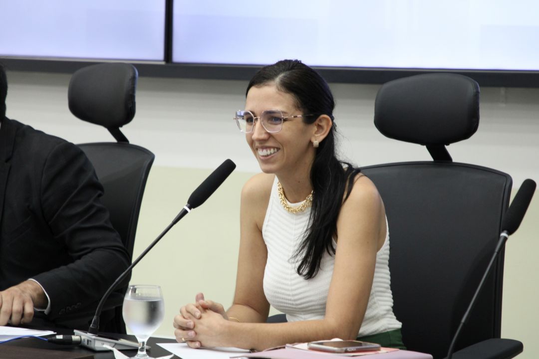 28/04/2025 - Audiência pública - Equipes multiprofissionais - Foto 3