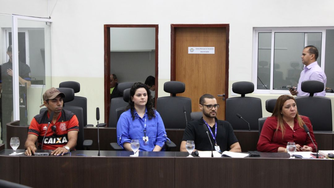 28/04/2025 - Audiência pública - Equipes multiprofissionais - Foto 7