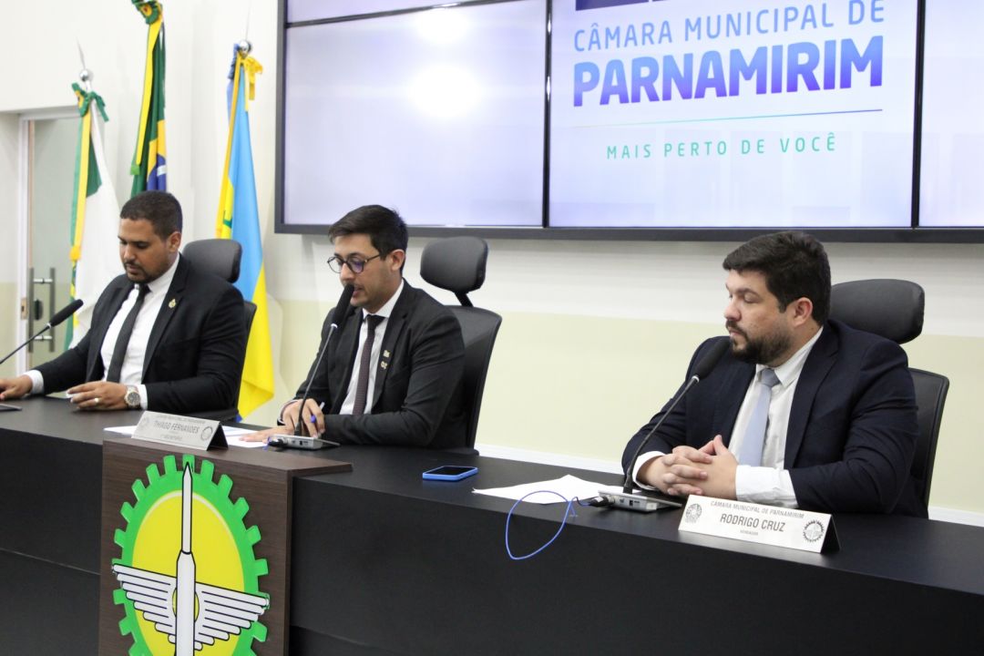 29/04/2025 - 4ª reunião da Comissão Permanente de Cultura e Desporto - Foto 7