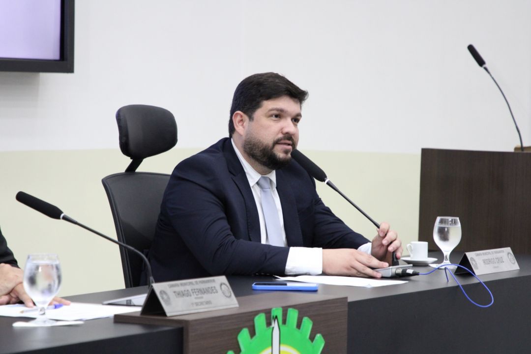 29/04/2025 - 4ª reunião da Comissão Permanente de Cultura e Desporto - Foto 8