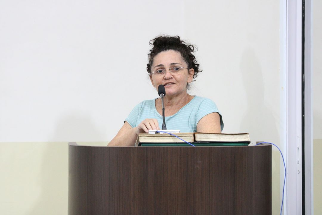 23/06/2025 - Audiência Pública sobre LDO 2025 - Foto 10