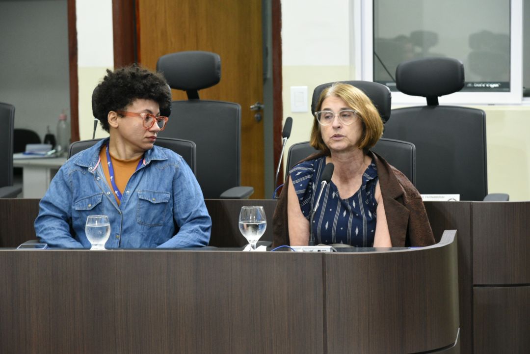 26/06/2025 - Audiência pública discute combate à violência contra o idoso - Foto 36