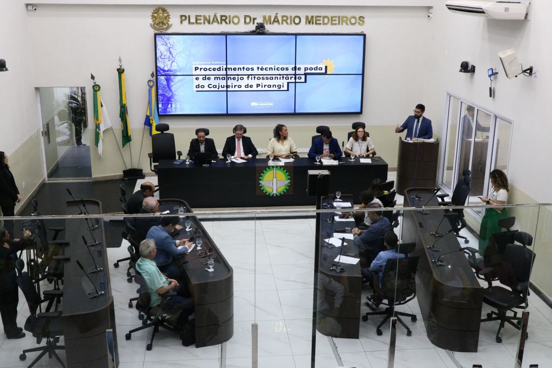 08/07/2025 - Audiência pública sobre o manejo do Cajueiro de Pirangi - Foto 50