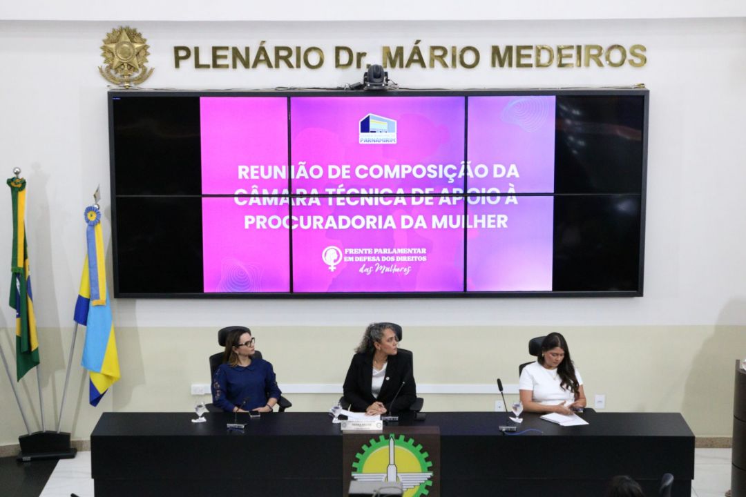 14.08.2025 | 1ª Reunião de Composição da Câmara Técnica de Apoio à Procuradoria da Mulher - Foto 7