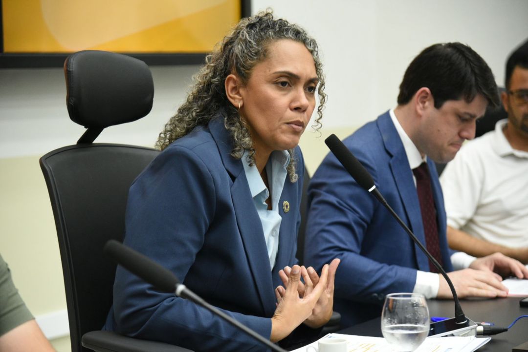 15.08.2025 | Audiência pública sobre mercados públicos de Parnamirim - Foto 14