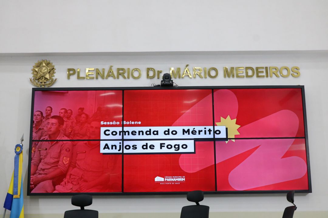 20.08.2025 | Sessão Solene Comenda do Mérito Anjos de Fogo - Foto 3