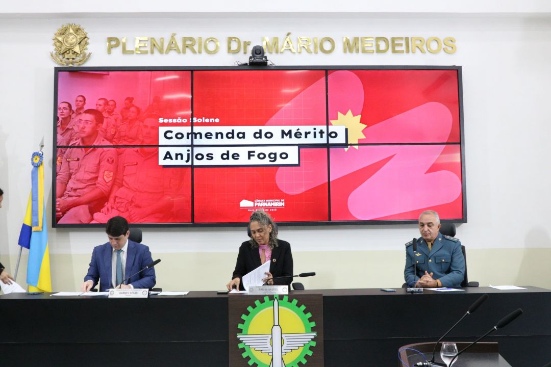 20.08.2025 | Sessão Solene Comenda do Mérito Anjos de Fogo - Foto 4