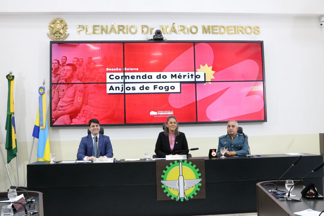 20.08.2025 | Sessão Solene Comenda do Mérito Anjos de Fogo - Foto 37