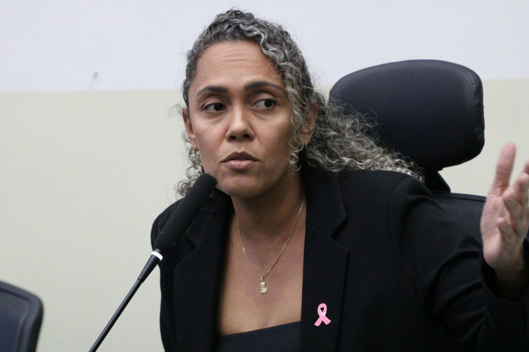 09.10.2025 | Audiência pública 