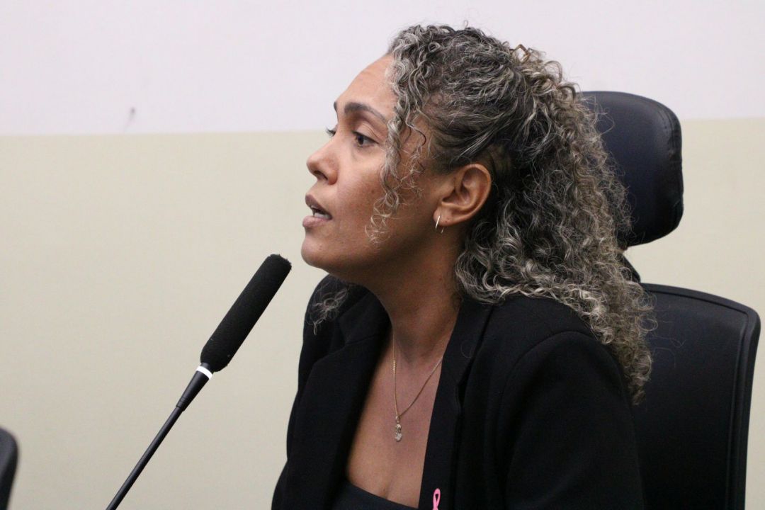 09.10.2025 | Audiência pública 