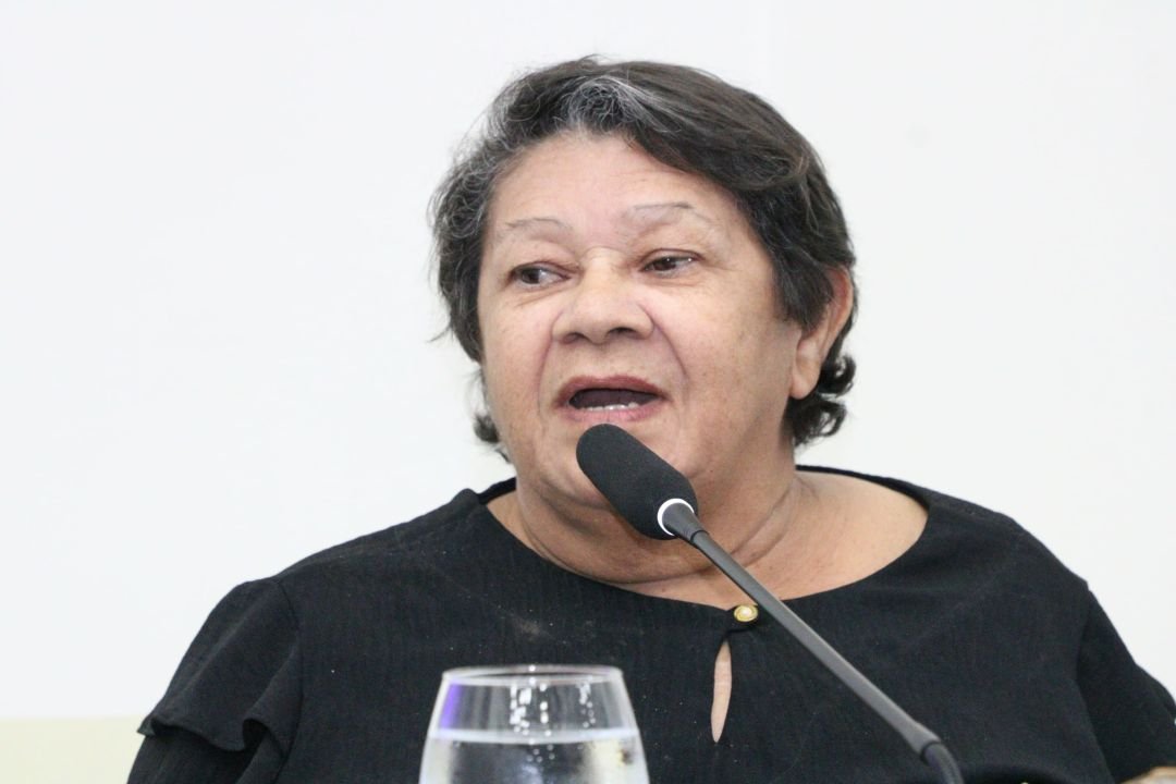 12.11.2025 | Audiência pública sobre cadastro e credenciamento de ambulantes - Foto 18