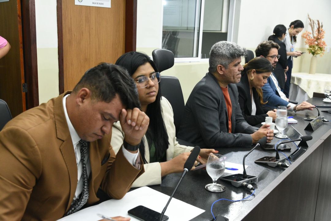 18.11.2025 | Audiência pública sobre a LOA 2026 - Foto 10