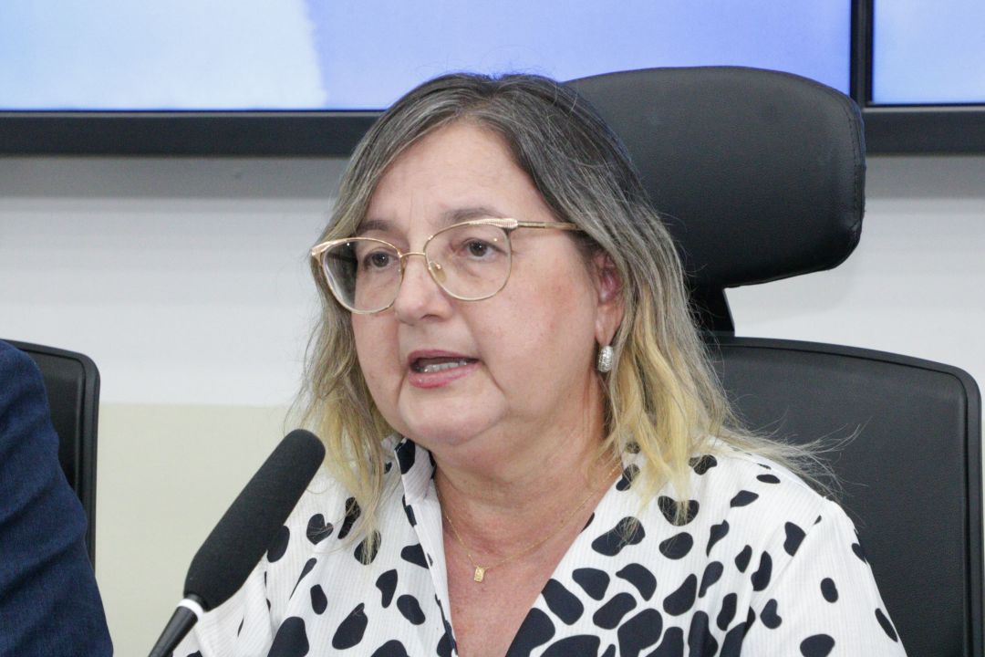 10.12.2025 | Audiência Pública - situação da Saúde Bucal - Foto 7